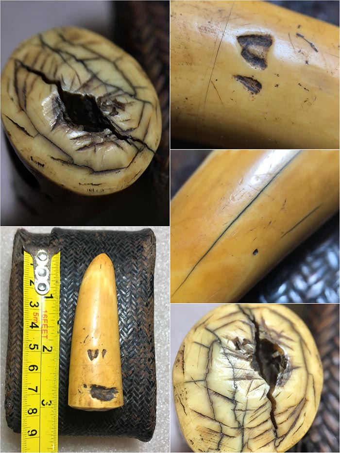 ปลายงาขนายกระเด็น