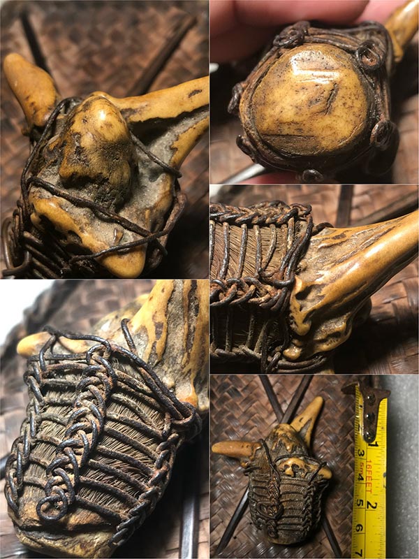 เขากวางคุตเครื่องรางสายทนสิทธิ์