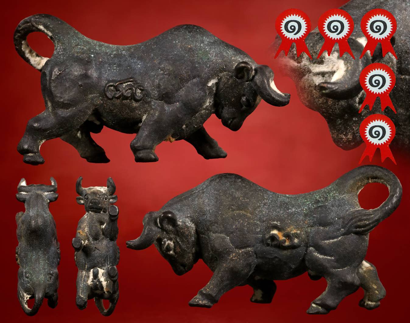 วัวธนูหลวงปู่คำแสน รุ่น 2 ( 5 แชมป์ )