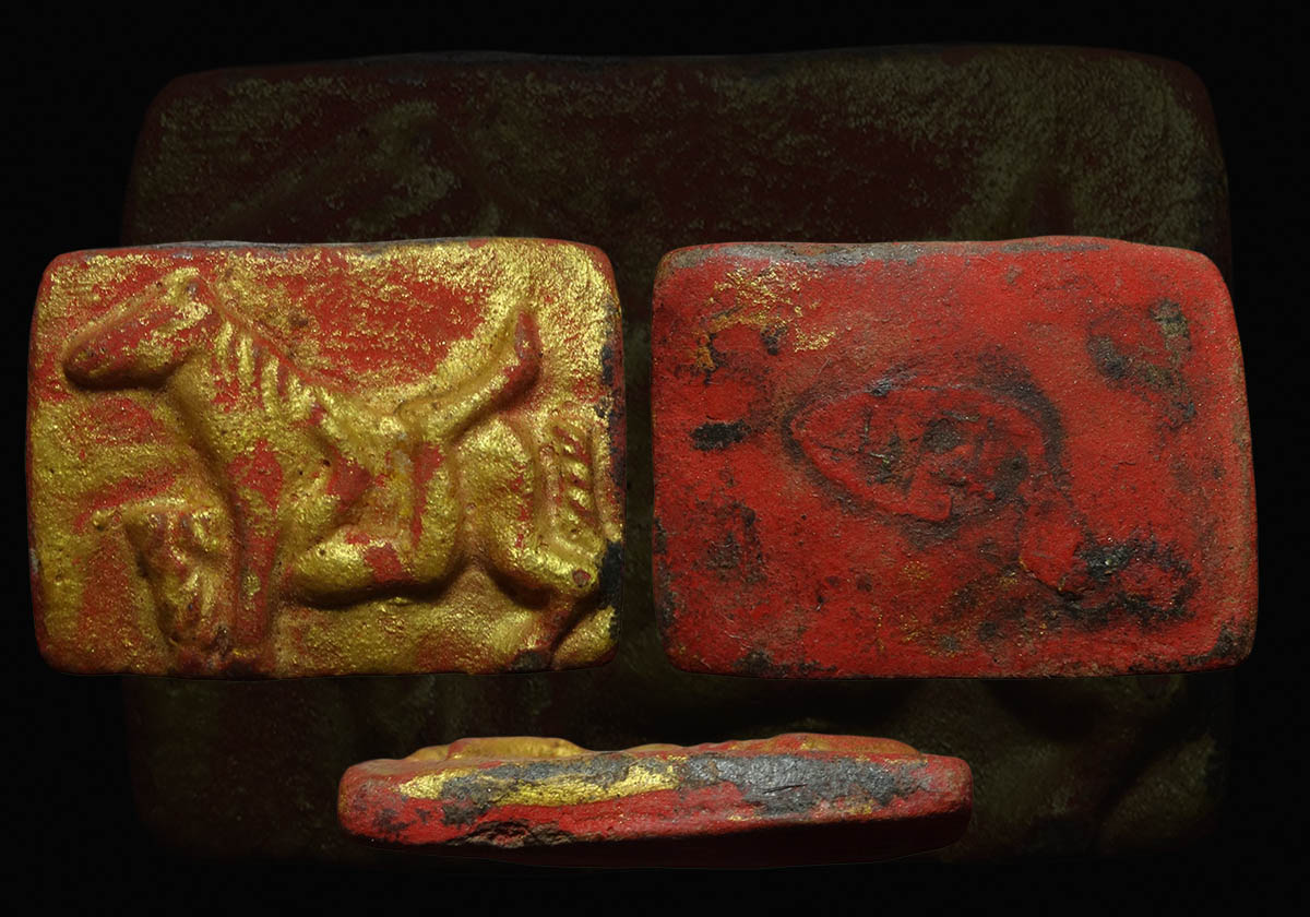 ม้าเสพนาง ครูบาวัง ผงผสมว่าน108 