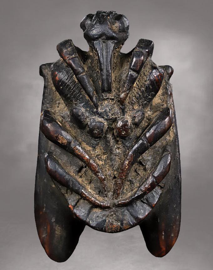 แมลงภู่คำไม้ดุมล้อแกะเก่า