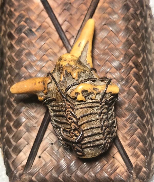 เขากวางคุตเครื่องรางสายทนสิทธิ์