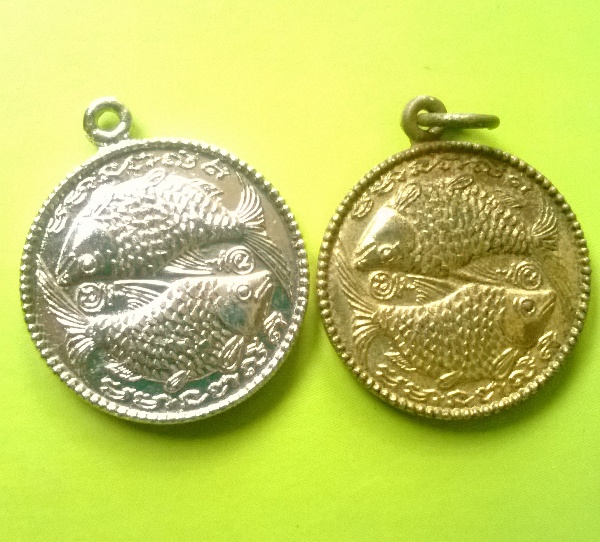 เหรียญปลาตะเพียนเงินตะเพียนทองครูบาดวงดีวัดท่าจำปี ปี2525