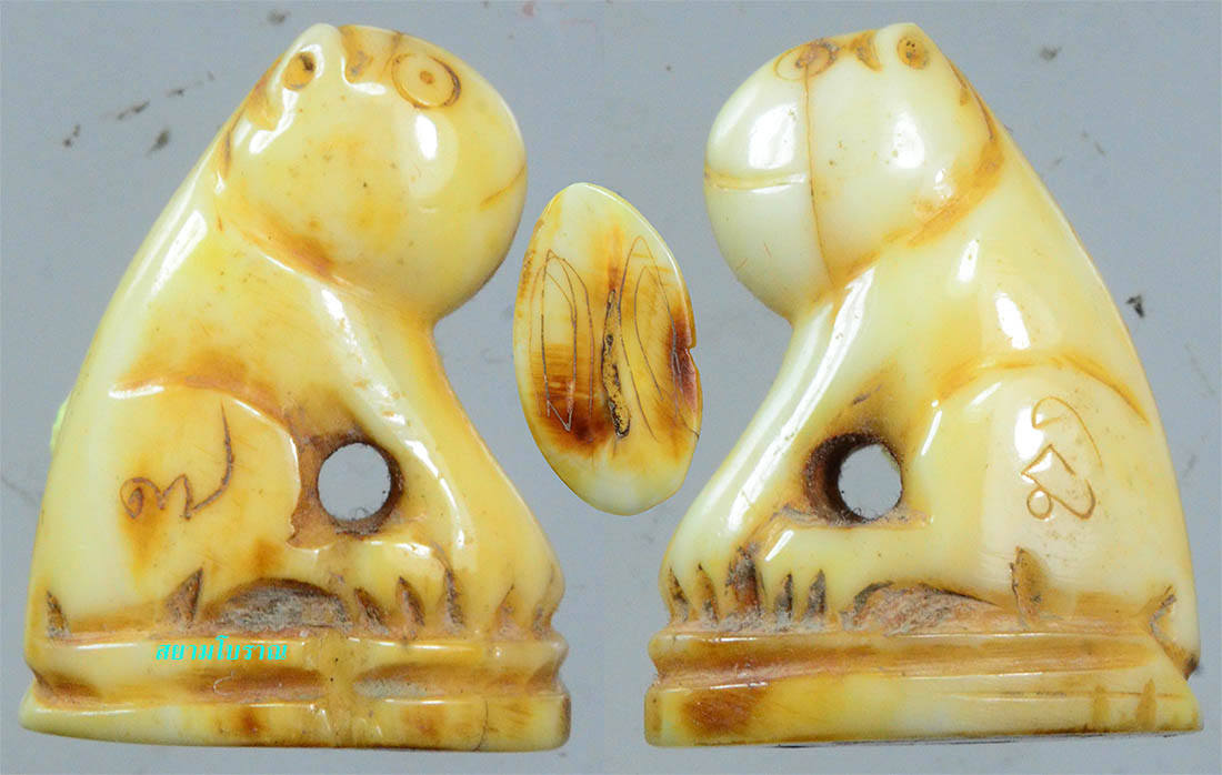 #17812 เvี้ยวหมูป่าแกะเป็นรูปเสือ