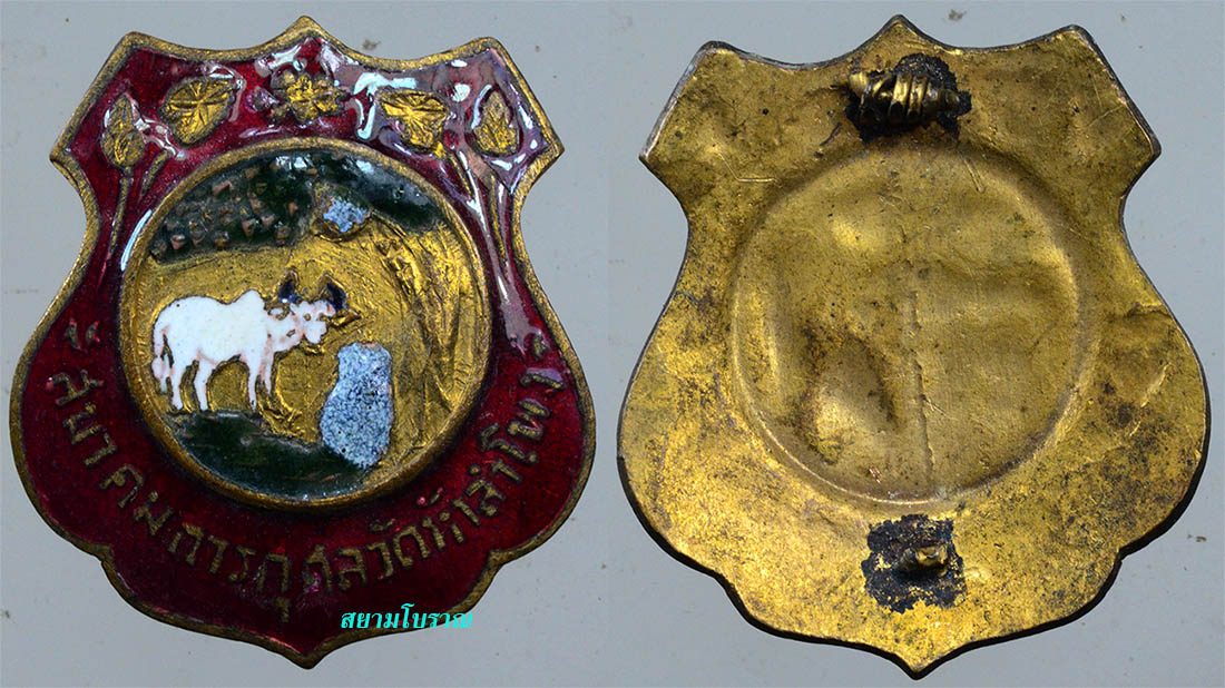 #17960 เข็มกลัด สมาคมการกุศล วัดหัวลำโพง