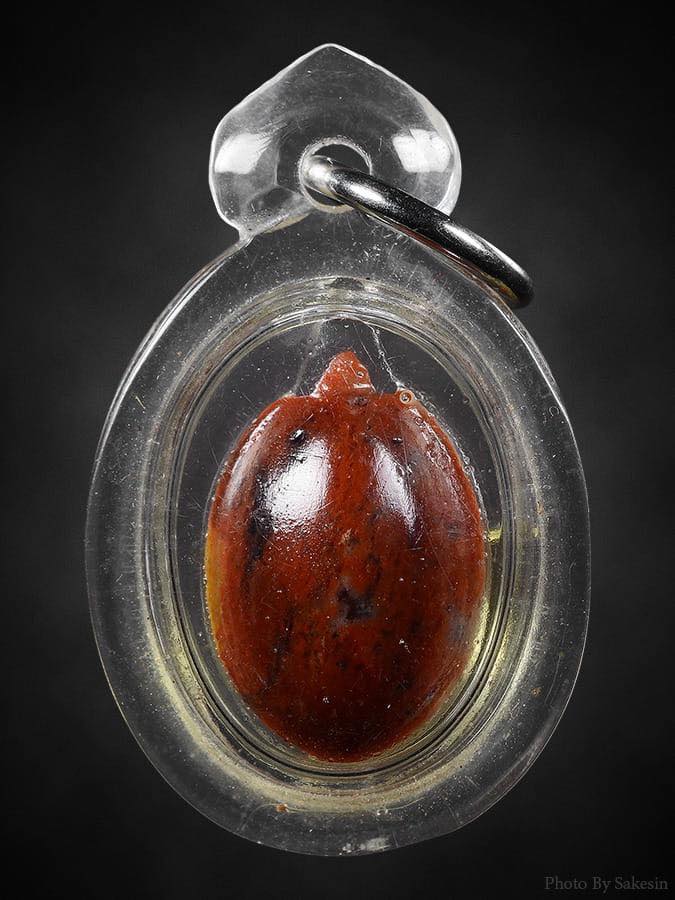 เต่าหลวงพ่อสนิทวัดลำบัวลอย