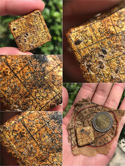 ว่านยารัตนะคำภีระยา(ยาแข๊บคำ) วัดไม้ฮุง