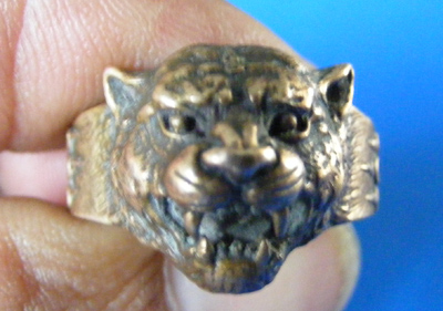 แหวนหัวเสือหลวงพ่อทรง วัดศาลาดินอ่างทองปี49