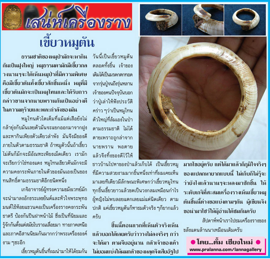 เสน่ห์เครื่องราง...เชียงใหม่นิวส์ 26 มีนาคม 2556