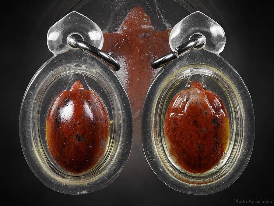 เต่าหลวงพ่อสนิทวัดลำบัวลอย